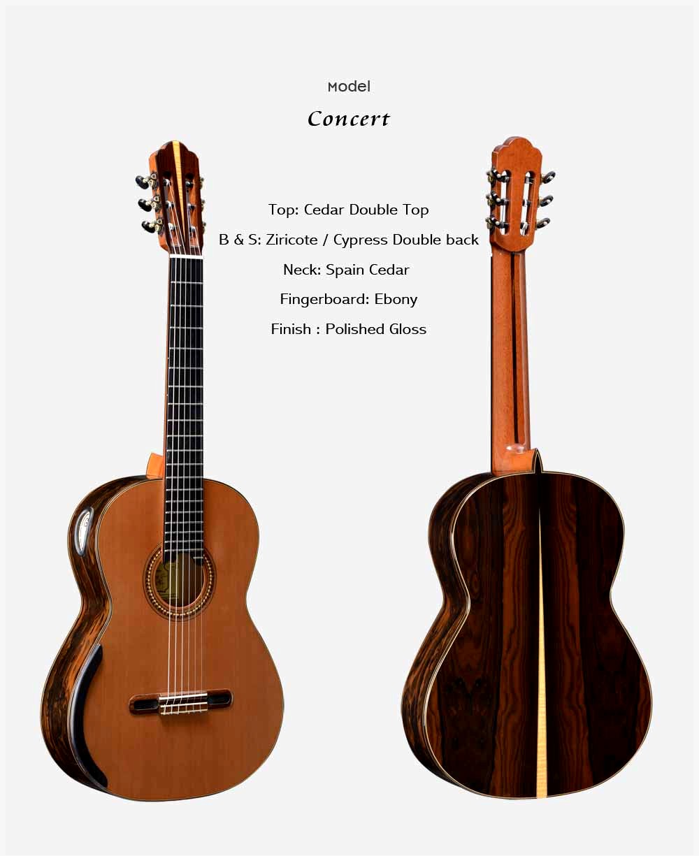 yulong guitar